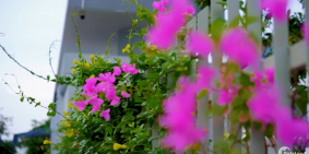 KHU BIỆT THỰ NGHỈ DƯỠNG -LIDECO PARIS HÀ NỘI. có sổ đổ luôn