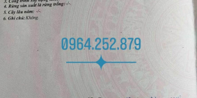 Biệt thự đồi Anh Nguyễn view biển đường Phố Rừng ôm trọn vẻ đẹp của Vịnh Nha Tra