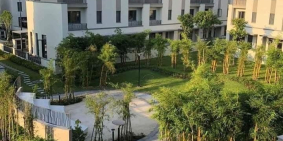 SOLAR CITY - Nhà vàng Nghĩ Dưỡng Ven sông VÀM CỎ