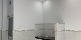 Bán nhà hẻm 133 Đường 47 Phường Tân Quy, Quận 7