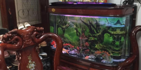 Siêu Hiếm, Giá Tốt Nhà DT 39M 4T 5.2 Tỷ Trung TT Phố Phương Mai