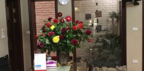 NHÀ TRẦN KHÁT CH N 4 CĂN CẠNH NHAU- NGÕ ÔTÔ SIÊU RẺ CHỈ 3.6 TỶ