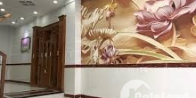 Bán Nhà Gò vấp Nguyễn Tư Giản 50m2 HXH Chỉ 4.4 Tỷ thương lượng.