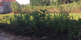 Bán Nhà Cấp 4 Kèm Khuôn Viên Đất Khu Vực Tịnh Phong,Huyện Sơn Tịnh, Quảng Ngãi