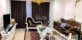 Con trai tôi đang học ở pháp nên muốn cho thuê ch tại Tràng An Complex 94m2, 2PN