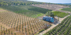 Đất thổ cư Bình An - Bình Thuận có sổ tiện nghi đầy đủ