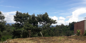 Chính chủ bán đất mặt tiền Lê Đình Chinh, SHR, giá cực tốt ở Lâm Đồng