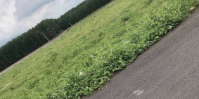 TÔI CHÍNH CHỦ bán đata giá 400 triệu diện tích 282m2