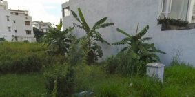 Nơi an cư lý tưởng MT Lê Trọng Tấn ngay chợ Việt Lập Dĩ An BD giá 980tr lô sổ hồ