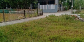 Bán lô đất 2 mặt kiệt ô tô ,thôn Lệ Sơn Nam, Hòa Tiến, Hòa Vang ,giá 1ty250, lh