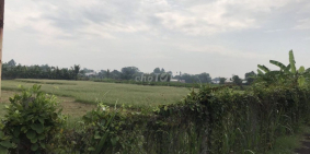 cấn bán đất thổ cư có sổ hồng riêng công chứng trong ngày củ chi