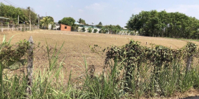 Cần bán ngay lô đất 200m2 thổ cư Củ Chi chính chủ