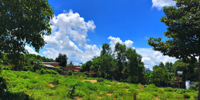 Cần bán 194m2 đất đường Nguyễn Thị Rành full thổ giá chỉ 625tr, SHR, sang têngay