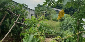 192.6 M2 Đất Thổ Cư MT 8M, Xuân Thới Thượng, HM