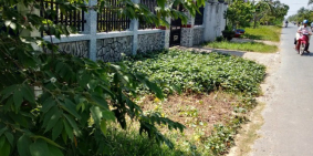 Đất sổ đỏ , mặt tiền tỉnh lộ 885, khu dân cư đông