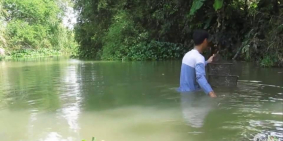 Bán đất gồm: nhà, vườn thanh long, dừa, mít,... (có điện bình 100 KVA)