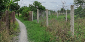 Cần bán gấp gấp đất huyện Bình Chánh