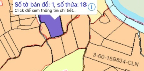 Cần bán đất vườn 3 ha đang trồng điều .