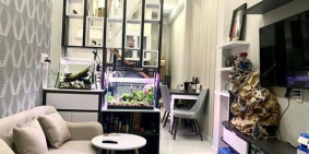 Nhà đẹp Mê Ly 4 tầng kiên cố Quận 1- Dân trí cao-An sinh Đỉnh