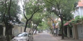 CC bán biệt thự 46 BT4 KĐT Văn Quán 2 mặt đường view công viên 268m2 chỉ 21.12 t