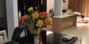 BÁN CĂN BIỆT THỰ KĐT Gamuda Hoàng Mai Giá 12.5 tỷ