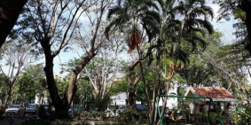 Cho thuê căn hộ Mỹ An- Phú Mỹ Hưng 110m 3PN đầy đủ nội thất Gía 15tr/ tháng