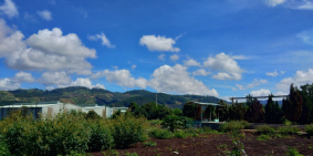 Bán nhanh 2ha đất đẹp xã Tà Nung, tp Đà Lạt – view thoáng, giá tốt