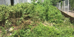 Bán đất Mặt tiền thổ cư, SHR chính chủ ngay chợ Lộc Giang