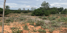 Kẹt tiền bán gấp lô đất ở Phan Thiết , giá 1ty450 (thương lượng)