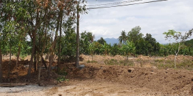 Chính chủ cần bán nhanh lô đất 8000m2 Khánh Phú, sổ sách sang tên ngay và luôn.