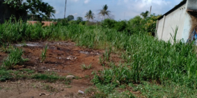 Gia đình cần bán 4 sào ở Bình Lộc, TP Long Khánh