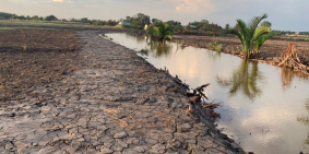 Bán đất vườn giá rẻ Phước Khánh Nhơn trạch giá 850tr/1000m2 shr đường ô tô