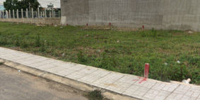 Tôi cần bán lô đất đường Luỹ Bán Bích,P.Hoà Thạnh,Q.Tân Phú.SHR,Giá 1.8tỷ/nền.