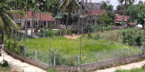 Bán Đất Vườn Giá Rẻ Tịnh Hà, Huyện Sơn Tịnh, Quảng Ngãi