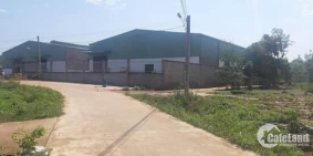 Bán khẩn cấp lô đất cách chợ Vĩnh Tân 500m, cách KDC Vsip 2a 300m.