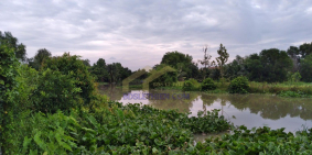 Bán đất Chánh Mỹ Thủ Dầu Một. Diện tích 1120 m2, 390m thổ cư. ngang 40m, Dài 28m