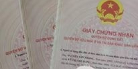 CHÍNH CHỦ CẦN BÁN 2 LÔ ĐẤT VIEW HỒ XÂY DỰNG TỰ DO ĐƯỜNG RỘNG 15M