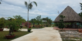 Đất vườn giá rẻ ở Sài Gòn chỉ 1,6tr/m2, Công chứng sang tên ngay!