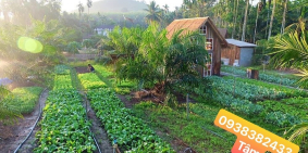 Đất Vườn Sinh Thái Củ Chi Garden,SHR Sang Tay Nhanh