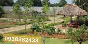 Đất Nền Củ Chi, SHR Sang Tay Nhanh