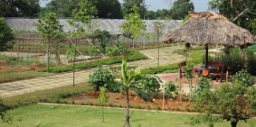 Đất vườn Sài Gòn giá từ 1,5tr/m2, Sổ hồng sang tên ngay!