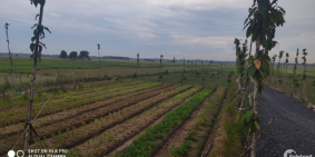 Đất vườn xã Thái Mỹ, cách ql22 2km, SHR 500m2 giá 700tr