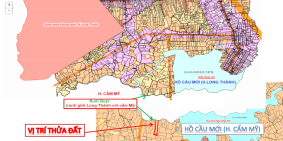 C.Chủ bán đất vùng phụ cận cận-đô thị vệ tinh sân bay QT Long Thành 2000m2