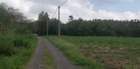 Bán 2245m2 đất An Viễn,đường xe hơi. Sổ riêng. Chỉ 3,6 tỷ có thương lượng.