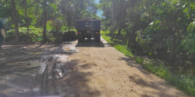 Cần tiền gấp làm vốn làm ăn cần bán gấp nhà + vườn với tổng diện tích 24.000m2.