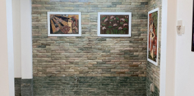 Siêu rẻ mùa dịch, nhà HXH, lô góc gần nhà hát Hòa Bình, Quận 10, ngang 3.9m,