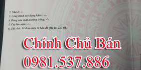 Trục chính đường 309 Kim Long, Tam Dương.