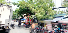 Bán nhà mặt tiền đường chính Bông Sao Phường 5 Quận 8