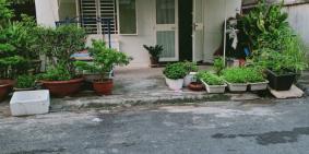 Cho thuê nhà vừa ở vừa KD mới, sạch, đẹp, HXH, Nguyễn Kiệm, Phú Nhuận.