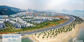 Mở bán Biệt thự mặt biển sổ đỏ lâu dài cuối cùng tại trung tâm TP HẠ LONG